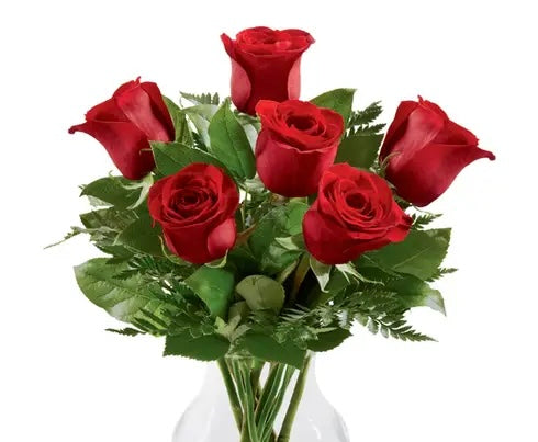 Classic Half Dozen Red Roses - Edmondson Farm Store