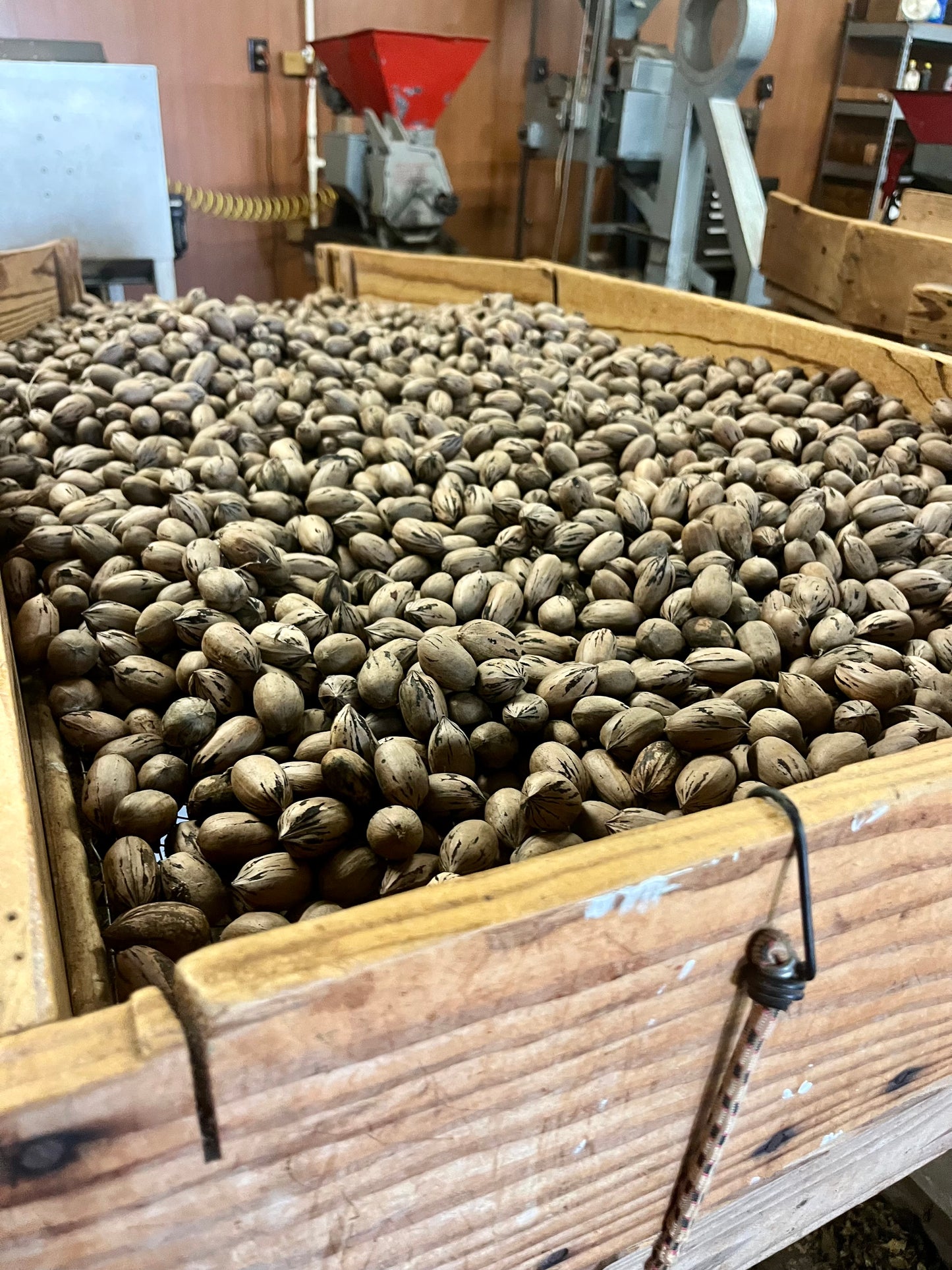 Pecans